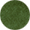 swatch color forest